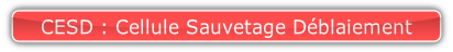 CESD : Cellule Sauvetage Déblaiement.