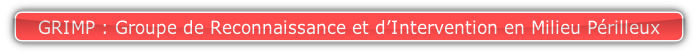 GRIMP : Groupe de Reconnaissance et d’Intervention en Milieu Périlleux.