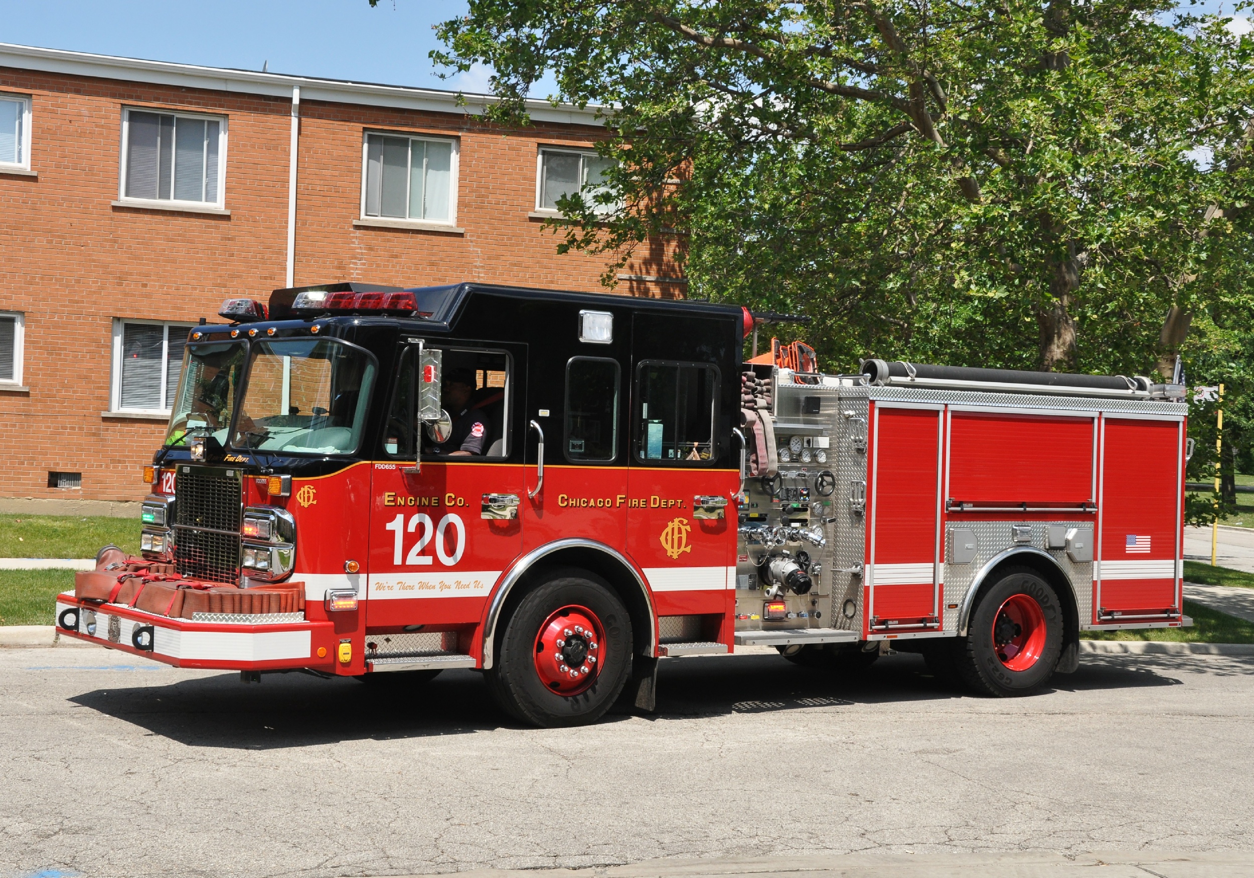 CFD 21st Battalion