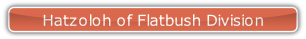 Hatzoloh of Flatbush Division.